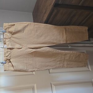 GAP Plus Tan Pants